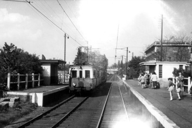 WOLUWE AVENUE - Z29249 - 20-6-52.jpg